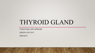 THYROID GLAND
YATICH HILLARY KIPKORE
HSM201-0181/2017
MBChB IV
 