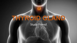 THYROID GLAND
Study Friend
 