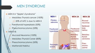 MEN SYNDROME
❖ MEN II A “Sipple’s Syndrome”
⮚ Medullary Thyroid cancer (100%)
❑ 20% of MTC is due to MEN II
⮚ Parathyroid hyperplasia (50%)
⮚ Pheochromocytoma (33%)
❖ MEN II B:
⮚ Mucosal Neuroma (100%)
⮚ Medullary Thyroid Caner (85%)
⮚ Pheochromocytoma (50%)
⮚ Marfanoid Habitus
 