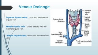 Venous Drainage
Superior thyroid veins: drain into the internal
jugular vein
Middle thyroid vein drains directly into the
internal jugular vein
Inferior thyroid veins: drain into innomminate
vein
 