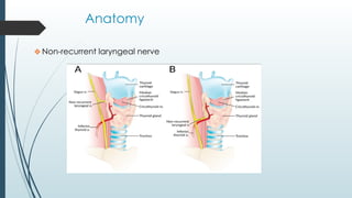 Anatomy
❖Non-recurrent laryngeal nerve
 