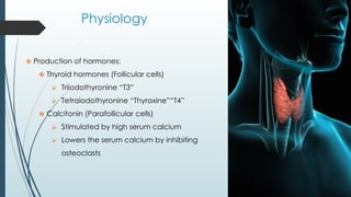 Physiology
❖ Production of hormones:
❖ Thyroid hormones (Follicular cells)
⮚ Triiodothyronine “T3”
⮚ Tetraiodothyronine “Thyroxine”“T4”
❖ Calcitonin (Parafollicular cells)
⮚ Stimulated by high serum calcium
⮚ Lowers the serum calcium by inhibiting
osteoclasts
 