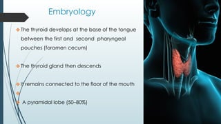 Embryology
❖The thyroid develops at the base of the tongue
between the first and second pharyngeal
pouches (foramen cecum)
❖The thyroid gland then descends
❖It remains connected to the floor of the mouth
❖
❖ A pyramidal lobe (50–80%)
 