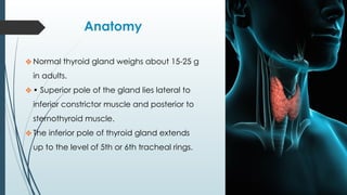 Anatomy
❖Normal thyroid gland weighs about 15-25 g
in adults.
❖• Superior pole of the gland lies lateral to
inferior constrictor muscle and posterior to
sternothyroid muscle.
❖The inferior pole of thyroid gland extends
up to the level of 5th or 6th tracheal rings.
 