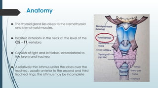 Anatomy
🠶 The thyroid gland lies deep to the sternothyroid
and sternohyoid muscles,
🠶 located anteriorlv in the neck at the level of the
C5 - T1 vertebra
🠶 Consists of right and left lobes, anterolateral to
the larynx and trachea
🠶 A relatively thin isthmus unites the lobes over the
trachea , usually anterior to the second and third
tracheal rings, the isthmus may be incomplete
 