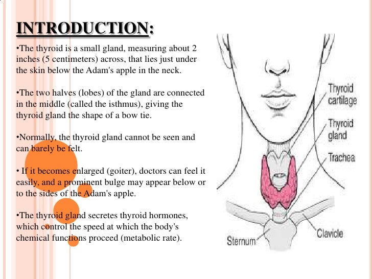 Thyroid gland,Adrenal gland and Gonads