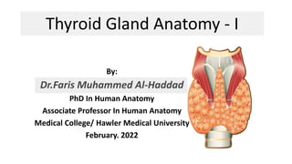 Thyroid Gland Anatomy - I
By:
Dr.Faris Muhammed Al-Haddad
PhD In Human Anatomy
Associate Professor In Human Anatomy
Medical College/ Hawler Medical University
February. 2022
 