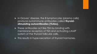  In Graves’ disease, the B lymphocytes (plasma cells)
produce autoimmune antibodies called thyroid-
stimulating autoantibodies (TSAbs).
 These antibodies act like TSH by binding with
membrane receptors of TSH and activating cAMP
system of the thyroid follicular cells.
 This results in hype-rsecretion of thyroid hormones.
 