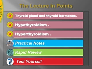 The Lecture In Points