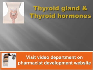 Thyroid gland & Thyroid hormonesVisit video department onpharmacist development website