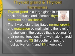 Thyroid gland & Thyroid hormonesThyroidglandis a large gland in the               neck, produces and secretes thyroid            hormone and calcitonin.