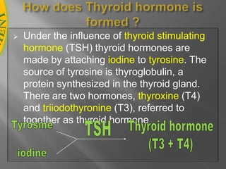 The thyroid gland facilitates normal growth and maturation by maintaining the level of metabolism in the tissues that is optimal for their normal function. The two major thyroid hormones are T3 (triiodothyronine, the most active form), and T4(thyroxine). How does Thyroid hormone is formed ?Under the influence of thyroid stimulating hormone (TSH) thyroid hormones are made by attaching iodine to tyrosine. The source of tyrosine is thyroglobulin, a protein synthesized in the thyroid gland. There are two hormones, thyroxine (T4) and triiodothyronine (T3), referred to together as thyroid hormoneTyrosineiodineTSHThyroid hormone(T3 + T4)