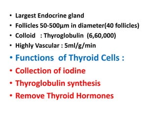 • Largest Endocrine gland
• Follicles 50-500μm in diameter(40 follicles)
• Colloid : Thyroglobulin (6,60,000)
• Highly Vascular : 5ml/g/min
• Functions of Thyroid Cells :
• Collection of iodine
• Thyroglobulin synthesis
• Remove Thyroid Hormones
 