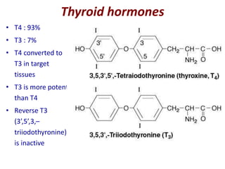 Thyroid hormones
• T4 : 93%
• T3 : 7%
• T4 converted to
T3 in target
tissues
• T3 is more potent
than T4
• Reverse T3
(3’,5’,3,–
triiodothyronine)
is inactive
 