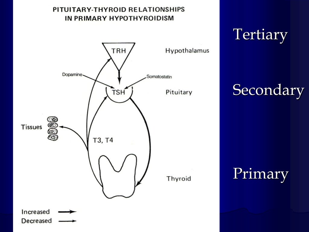 Thyroid gland dysfunction