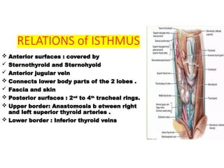 Thyroid_Gland_Introduction&embryology[1].pptx