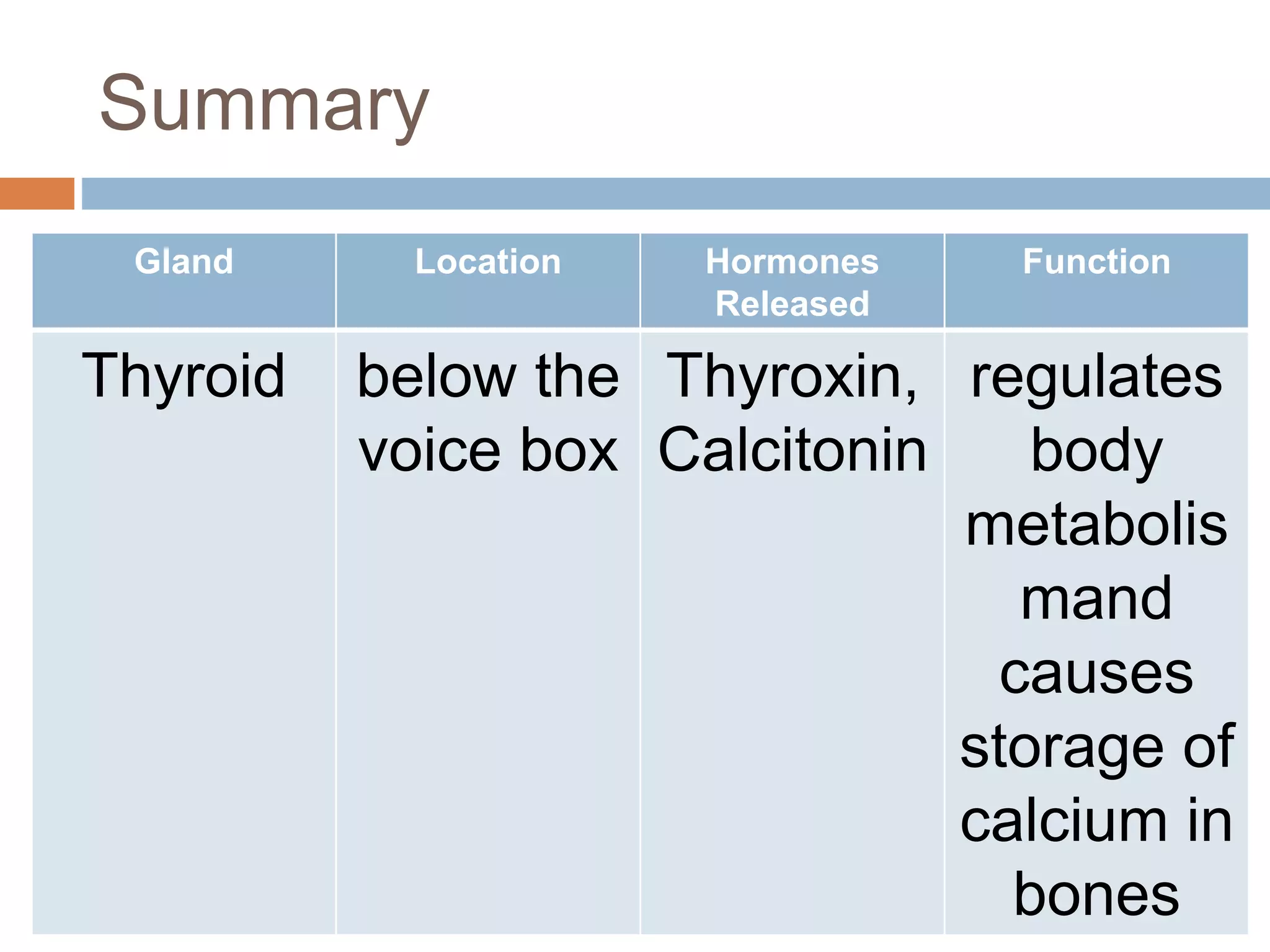 Summary
Gland Location Hormones
Released
Function
Thyroid below the
voice box
Thyroxin,
Calcitonin
regulates
body
metabolis
mand
causes
storage of
calcium in
bones
 