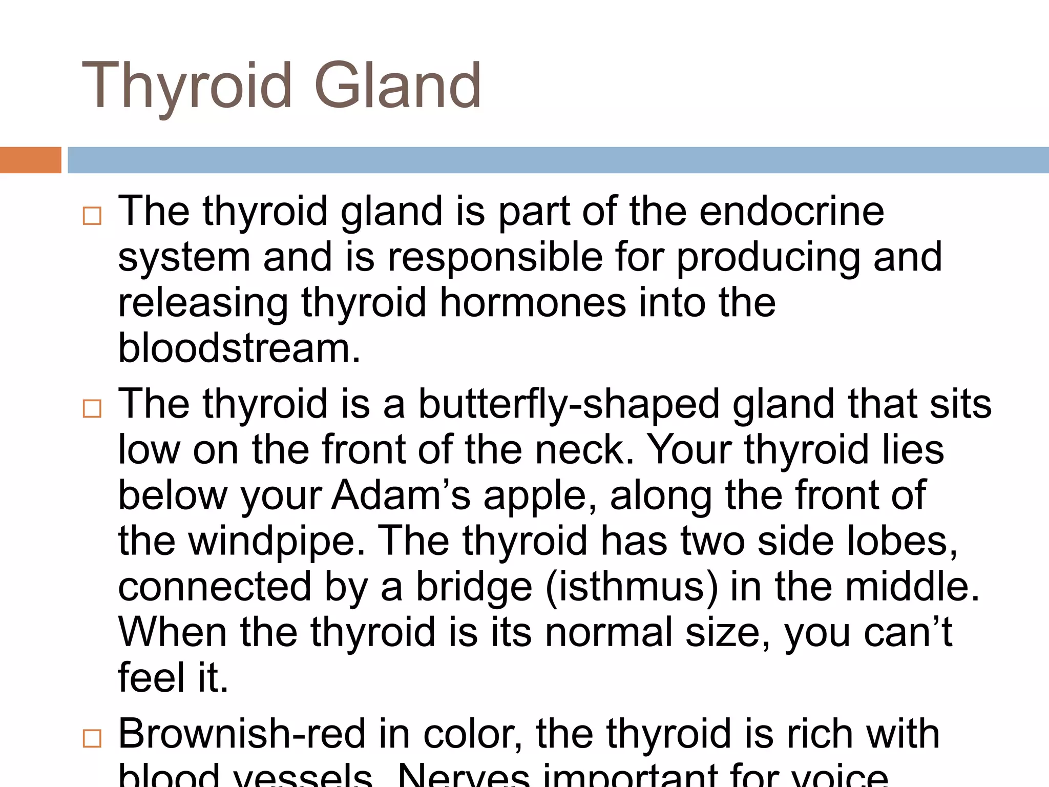 Thyroid Gland
 The thyroid gland is part of the endocrine
system and is responsible for producing and
releasing thyroid hormones into the
bloodstream.
 The thyroid is a butterfly-shaped gland that sits
low on the front of the neck. Your thyroid lies
below your Adam’s apple, along the front of
the windpipe. The thyroid has two side lobes,
connected by a bridge (isthmus) in the middle.
When the thyroid is its normal size, you can’t
feel it.
 Brownish-red in color, the thyroid is rich with
 