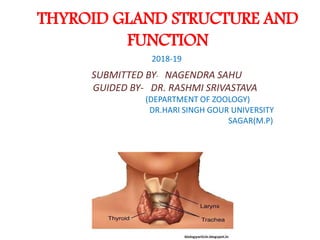 THYROID GLAND STRUCTURE AND
FUNCTION
2018-19
SUBMITTED BY- NAGENDRA SAHU
GUIDED BY- DR. RASHMI SRIVASTAVA
(DEPARTMENT OF ZOOLOGY)
DR.HARI SINGH GOUR UNIVERSITY
SAGAR(M.P)
GG
 