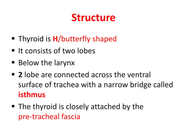 Thyroid gland structure and function | PPTX