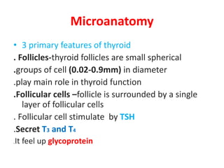 Thyroid gland structure and function | PPTX