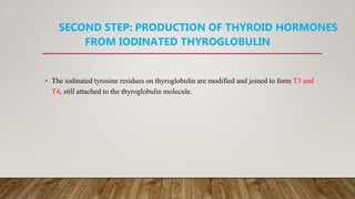 SECOND STEP: PRODUCTION OF THYROID HORMONES
FROM IODINATED THYROGLOBULIN
• The iodinated tyrosine residues on thyroglobulin are modified and joined to form T3 and
T4, still attached to the thyroglobulin molecule.
 