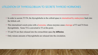 UTILIZATION OF THYROGLOBULIN TO SECRETE THYROID HORMONES
• In order to secrete T3/T4, the thyroglobulin in the colloid space is internalized by endocytosis back into
the follicle cell.
• This internalized vesicle joins with a lysosome, whose enzymes cause cleavage of T3 and T4 from
thyroglobulin. Some T4 is converted to T3 at this point.
• T3 and T4 are then released into the extracellular space by diffusion.
• Only minute amounts of thyroglobulin are released into the circulation.
 
