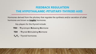 FEEDBACK REGULATION
THE HYPOTHALAMIC-PITUITARY-THYROID AXIS
Hormones derived from the pituitary that regulate the synthesis and/or secretion of other
hormones are known as trophic hormones.
Key players for the thyroid include:
TRH - Thyrotropin Releasing Hormone
TSH - Thyroid Stimulating Hormone
T4/T3 - Thyroid hormones
 