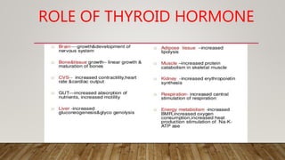 ROLE OF THYROID HORMONE
 