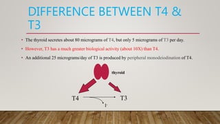 DIFFERENCE BETWEEN T4 &
T3
• The thyroid secretes about 80 micrograms of T4, but only 5 micrograms of T3 per day.
• However, T3 has a much greater biological activity (about 10X) than T4.
• An additional 25 micrograms/day of T3 is produced by peripheral monodeiodination of T4.
T4
thyroid
I-
T3
 