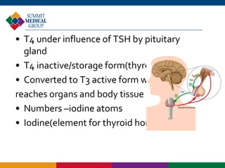 Understanding Your Thyroid | PPTX
