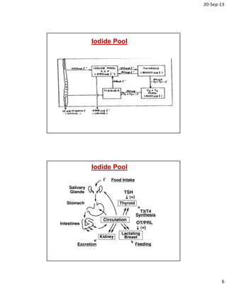 20‐Sep‐13
6
Iodide Pool
Iodide Pool
 