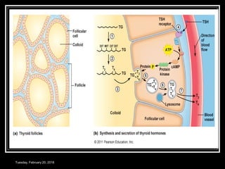 Tuesday, February 20, 2018
 