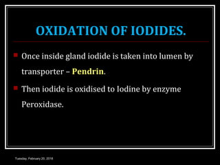 OXIDATION OF IODIDES.
 Once inside gland iodide is taken into lumen by
transporter – Pendrin.
 Then iodide is oxidised to Iodine by enzyme
Peroxidase.
Tuesday, February 20, 2018
 