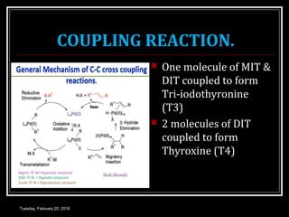 COUPLING REACTION.
 One molecule of MIT &
DIT coupled to form
Tri-iodothyronine
(T3)
 2 molecules of DIT
coupled to form
Thyroxine (T4)
Tuesday, February 20, 2018
 