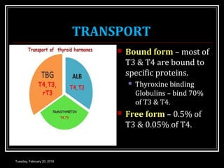 TRANSPORT
 Bound form – most of
T3 & T4 are bound to
specific proteins.
 Thyroxine binding
Globulins – bind 70%
of T3 & T4.
 Free form – 0.5% of
T3 & 0.05% of T4.
Tuesday, February 20, 2018
 