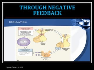 THROUGH NEGATIVE
FEEDBACK
Tuesday, February 20, 2018
 