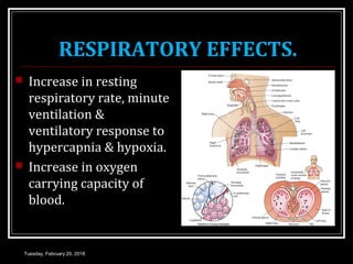 RESPIRATORY EFFECTS.
 Increase in resting
respiratory rate, minute
ventilation &
ventilatory response to
hypercapnia & hypoxia.
 Increase in oxygen
carrying capacity of
blood.
Tuesday, February 20, 2018
 