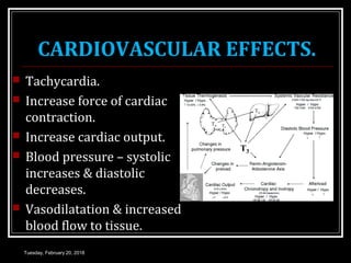 CARDIOVASCULAR EFFECTS.
 Tachycardia.
 Increase force of cardiac
contraction.
 Increase cardiac output.
 Blood pressure – systolic
increases & diastolic
decreases.
 Vasodilatation & increased
blood flow to tissue.
Tuesday, February 20, 2018
 