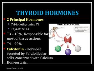 THYROID HORMONES
 2 Principal Hormones
 Tri-iodothyronine T3
 Thyroxine T4
 T3 – 10% , Responsible for
most of tissue actions.
 T4 – 90%
 Calcitonin – hormone
secreted by Parafollicular
cells, concerned with Calcium
Homeostasis.
Tuesday, February 20, 2018
 