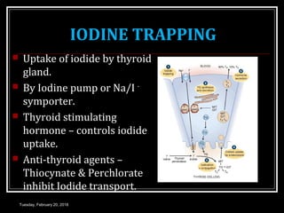IODINE TRAPPING
 Uptake of iodide by thyroid
gland.
 By Iodine pump or Na/I –
symporter.
 Thyroid stimulating
hormone – controls iodide
uptake.
 Anti-thyroid agents –
Thiocynate & Perchlorate
inhibit Iodide transport.
Tuesday, February 20, 2018
 