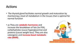 Actions
• The thyroid gland facilitates normal growth and maturation by
maintaining a level of metabolism in the tissues that is optimal for
normal function
• as They are catabolic hormones and
increase the breakdown of fats (to FFA),
carbohydrates (cause hyperglycemia) and
proteins (cause weight loss). They are also
calorigenic and increase basal metabolic
rate (BMR).
 