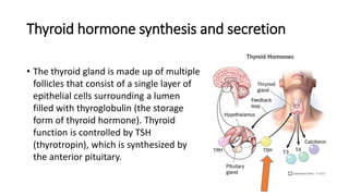 Thyroid hormone synthesis and secretion
• The thyroid gland is made up of multiple
follicles that consist of a single layer of
epithelial cells surrounding a lumen
filled with thyroglobulin (the storage
form of thyroid hormone). Thyroid
function is controlled by TSH
(thyrotropin), which is synthesized by
the anterior pituitary.
 