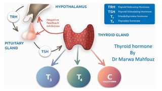 Thyroid hormone
By
Dr Marwa Mahfouz
 