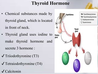 Thyroid Hormone
• Chemical substances made by
thyroid gland, which is located
in front of neck.
• Thyroid gland uses iodine to
make thyroid hormone and
secrete 3 hormone :
✔ Triiodothyronine (T3)
✔ Tetraiodothyronine (T4)
✔ Calcitonin
 