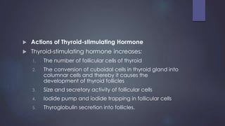  Actions of Thyroid-stimulating Hormone
 Thyroid-stimulating hormone increases:
1. The number of follicular cells of thyroid
2. The conversion of cuboidal cells in thyroid gland into
columnar cells and thereby it causes the
development of thyroid follicles
3. Size and secretory activity of follicular cells
4. Iodide pump and iodide trapping in follicular cells
5. Thyroglobulin secretion into follicles.
 