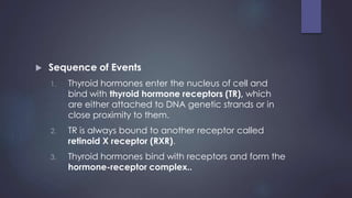  Sequence of Events
1. Thyroid hormones enter the nucleus of cell and
bind with thyroid hormone receptors (TR), which
are either attached to DNA genetic strands or in
close proximity to them.
2. TR is always bound to another receptor called
retinoid X receptor (RXR).
3. Thyroid hormones bind with receptors and form the
hormone-receptor complex..
 