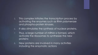 5. This complex initiates the transcription process by
activating the enzymes such as RNA polymerase
and phospho-protein kinases.
6. It also stimulates the synthesis of nuclear proteins.
7. Thus, a large number of mRNA is formed, which
activate the ribosomes to synthesize the new
proteins
8. New proteins are involved in many activities
including the enzymatic actions
 