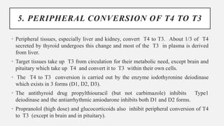 5. PERIPHERAL CONVERSION OF T4 TO T3
• Peripheral tissues, especially liver and kidney, convert T4 to T3. About 1/3 of T4
secreted by thyroid undergoes this change and most of the T3 in plasma is derived
from liver.
• Target tissues take up T3 from circulation for their metabolic need, except brain and
pituitary which take up T4 and convert it to T3 within their own cells.
• The T4 to T3 conversion is carried out by the enzyme iodothyronine deiodinase
which exists in 3 forms (D1, D2, D3).
• The antithyroid drug propylthiouracil (but not carbimazole) inhibits Type1
deiodinase and the antiarrhythmic amiodarone inhibits both D1 and D2 forms.
• Propranolol (high dose) and glucocorticoids also inhibit peripheral conversion of T4
to T3 (except in brain and in pituitary).
 