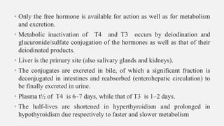 • Only the free hormone is available for action as well as for metabolism
and excretion.
• Metabolic inactivation of T4 and T3 occurs by deiodination and
glucuronide/sulfate conjugation of the hormones as well as that of their
deiodinated products.
• Liver is the primary site (also salivary glands and kidneys).
• The conjugates are excreted in bile, of which a significant fraction is
deconjugated in intestines and reabsorbed (enterohepatic circulation) to
be finally excreted in urine.
• Plasma t½ of T4 is 6–7 days, while that of T3 is 1–2 days.
• The half-lives are shortened in hyperthyroidism and prolonged in
hypothyroidism due respectively to faster and slower metabolism
 